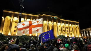 G&eacute;orgie: plus de 40 arrestations lors d'une manifestation pro-UE
