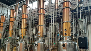 Mase, approvate le linee guida per il biometano sostenibile nel sistema Ets