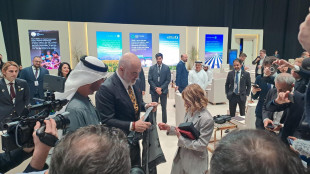 Dai gioielli alle scarpe, i doni ricevuti dalla premier Meloni andranno all'asta