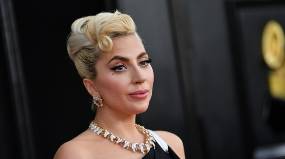 Second Lady Gaga dog-napper jailed