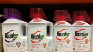 Glyphosat-Klagen gegen Monsanto: US-Gericht billigt Milliarden-Vergleich