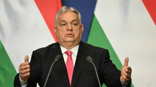 Les Hongrois appel&eacute;s &agrave; voter le 12 avril pour des &eacute;lections o&ugrave; Orban est donn&eacute; en difficult&eacute;