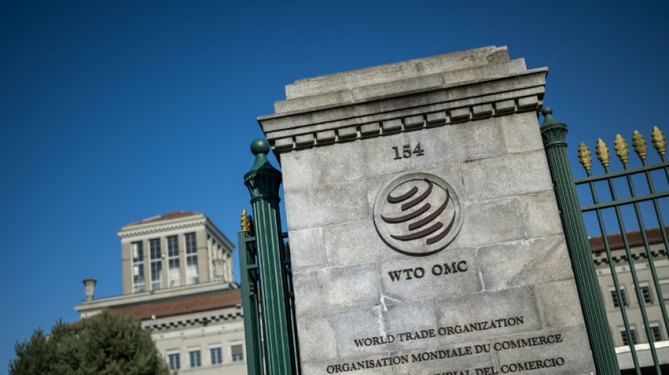 Brasil acude a la OMC por los aranceles de Estados Unidos