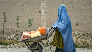 La ONU lanza una investigación sobre violaciones de los DDHH en Afganistán