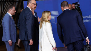 Meloni, 'nessuna missione militare per forzare il blocco di Hormuz'