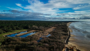Sur l'&icirc;le d'Ol&eacute;ron, un "rempart" contre l'&eacute;rosion c&ocirc;ti&egrave;re pr&egrave;s d'une station d'&eacute;puration  