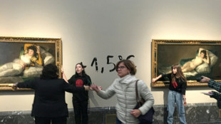 Klimaaktivistinnen kleben sich in Madrid an Rahmen von Goya-Gemälden fest