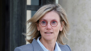 Taxe électricité: Agnès Pannier-Runacher s'inquiète du "risque" d'aller trop loin