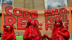 UN science report to sound deafening alarm on climate
