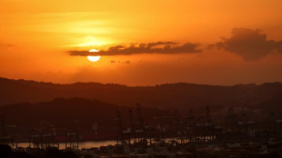 Hutchison pide a Panam&aacute; negociar sobre puertos del canal para evitar "caos"