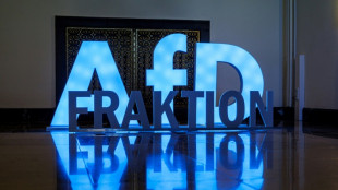 Merz au défi de freiner l'extrême droite à l'Est, 35 ans après la réunification allemande