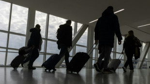 Bagages payants: les "recettes annexes", cruciales pour les compagnies a&eacute;riennes