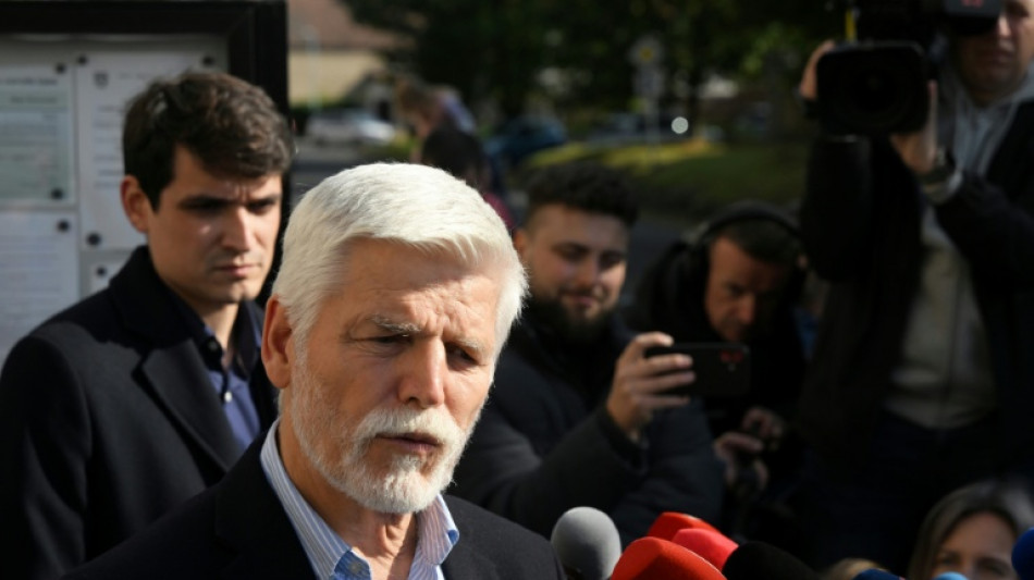 Prague à l'heure des consultations après la victoire de Babis aux législatives