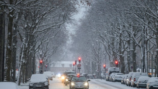 Una intensa nevada provoca cinco muertes en accidentes de tr&aacute;nsito en Francia