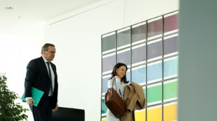 Baerbock und Pistorius rufen zu europäischer Einigkeit und Geschlossenheit auf