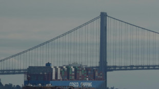 Etats-Unis: les dockers commencent leur gr&egrave;ve apr&egrave;s l'&eacute;chec de n&eacute;gociations
