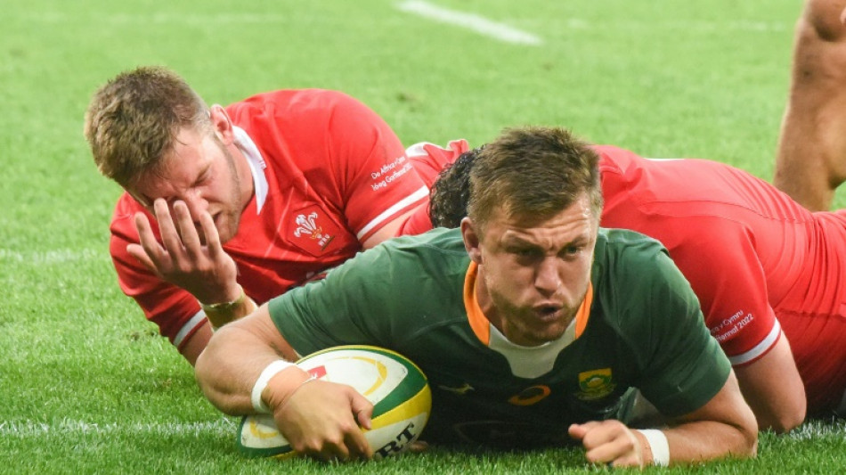 Rugby: l'Afrique du Sud domine le pays de Galles (30-14) et remporte la s&eacute;rie de tests