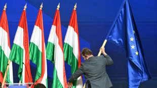 La Hongrie doit se r&eacute;former avant d'acc&eacute;der aux fonds europ&eacute;ens gel&eacute;s, jugent des &eacute;lus