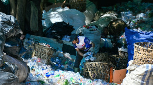 Trait&eacute; plastique: le pilote des discussions esp&egrave;re un accord en mars