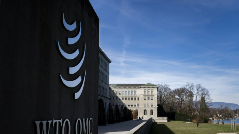 WTO hikes 2025 trade growth outlook but tariffs to bite in 2026