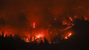 In Nevada dichiarata l'emergenza per gli incendi, fermato un uomo