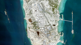 Trump dr&auml;ngt andere L&auml;nder zur Entsendung von Kriegsschiffen in Stra&szlig;e von Hormus