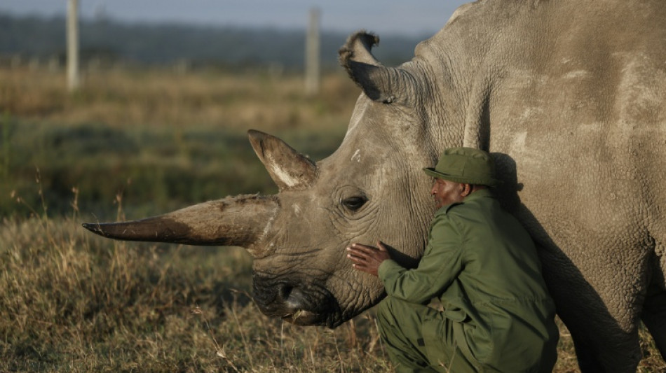 UNO: Welt nicht auf Kurs f&uuml;r Einhaltung der Biodiversit&auml;ts-Ziele