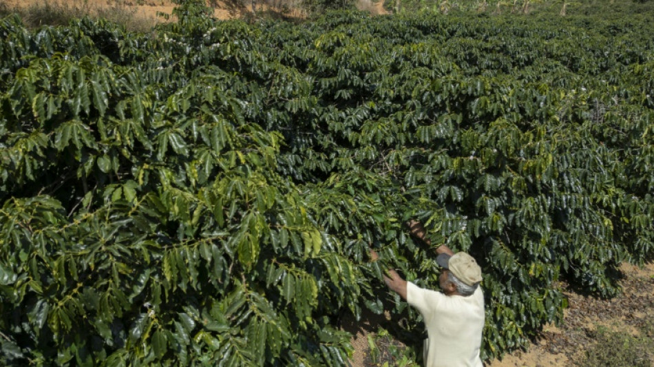 Long-awaited EU-Mercosur trade pact set for signing