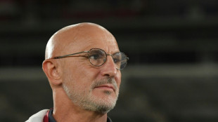 Luis Enrique deja de ser seleccionador espa&ntilde;ol y De la Fuente le sustituye