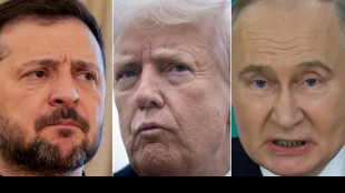 Trump diz que trégua está bem encaminhada após falar com Zelensky