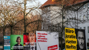 Studie: Bei Migranten große Unterschiede im Wahlverhalten je nach Herkunft