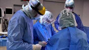 Operato a 9 anni da 'sveglio' a Padova per rimuovere una lesione al cervello