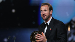 Kane: Ohne den FC Bayern "nicht m&ouml;glich"
