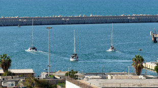 Flottille pour Gaza: un dernier bateau pour Gaza encore en route après des dizaines d'interceptions