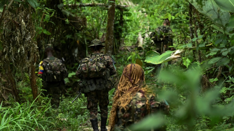 Disidentes de las FARC denuncian que el Ej&eacute;rcito de Colombia rompi&oacute; el cese al fuego