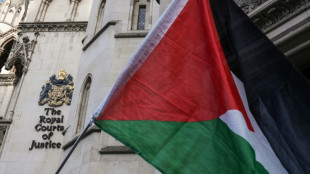Palestine Action launches court bid to scrap UK ban