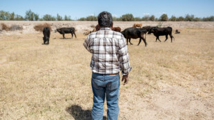 EEUU revisar&aacute; en M&eacute;xico las medidas contra la plaga del gusano barrenador