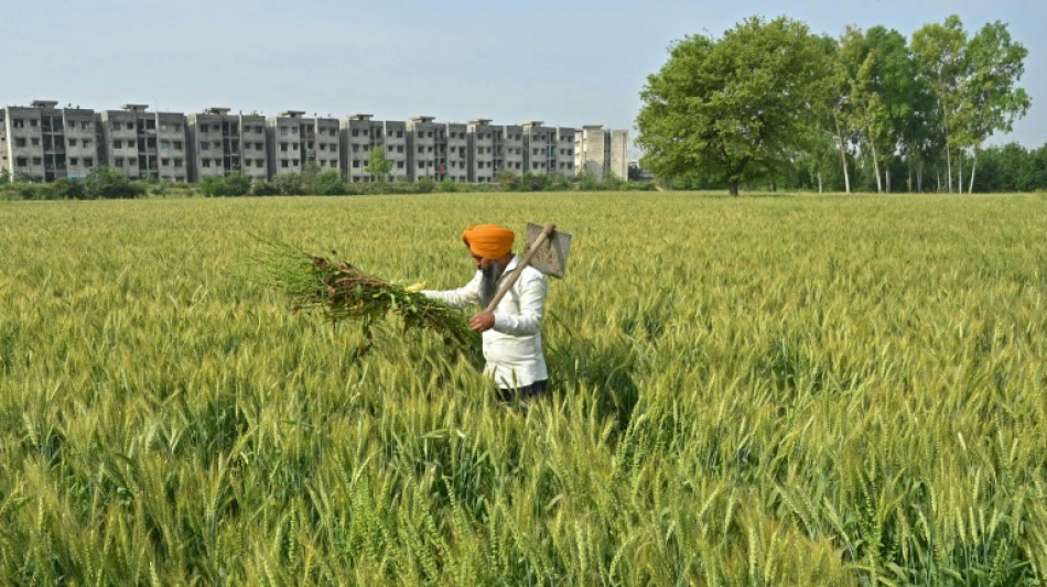 India says 'examining the implications' of US tariffs