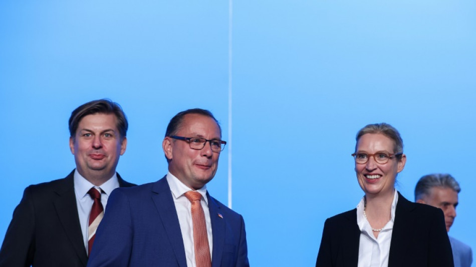 Weidel: AfD-Bundestagsfraktion fällt Entscheidung zu Krah am Dienstag