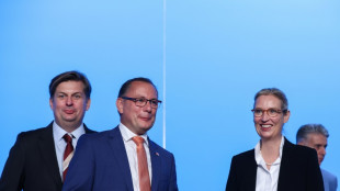 Weidel: AfD-Bundestagsfraktion fällt Entscheidung zu Krah am Dienstag