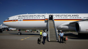 German minister axes trip over broken plane