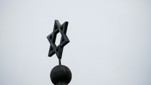 Zerstörte Synagogen rekonstruiert: Internetseite zeigt mehr als 40 Gotteshäuser