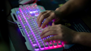 Un des principaux réseaux d'attaques au rançongiciel au monde a été démantelé