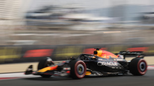 F1: Verstappen in pole ad Abu Dhabi, secondo Norris