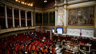 El Parlamento franc&eacute;s intenta regular la "jungla" de los 'influencers'