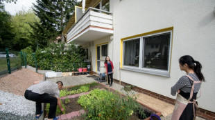 Oberverwaltungsgericht billigt Verbot von Schottergärten in Niedersachsen