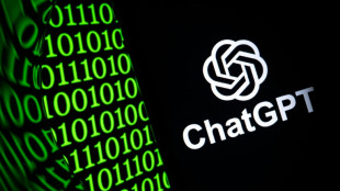 One man, his dog, and ChatGPT: Australia's AI vaccine saga