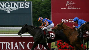 Camille Pissarro picture perfect for O'Brien in French Derby