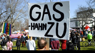 Anteil von &Ouml;l und Gas aus Russland im Januar bei 24 Prozent 