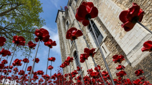 30.000 Keramikblumen erinnern in London an den 80. Jahrestag des Zweiten Weltkriegs